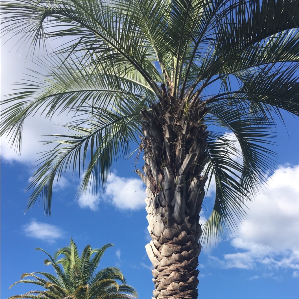 Meet your Posher, Blakely